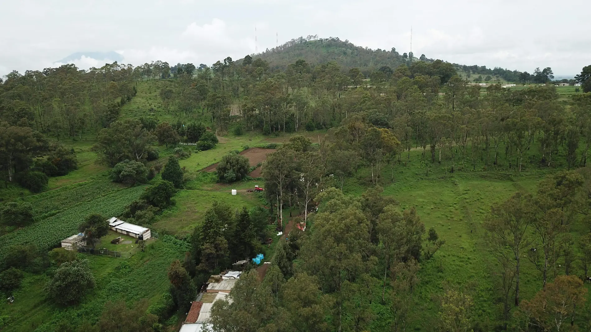 TALA-DEFORESTACION-CERRO ZAPOTECAS-DRON JULIOCM 07072021006